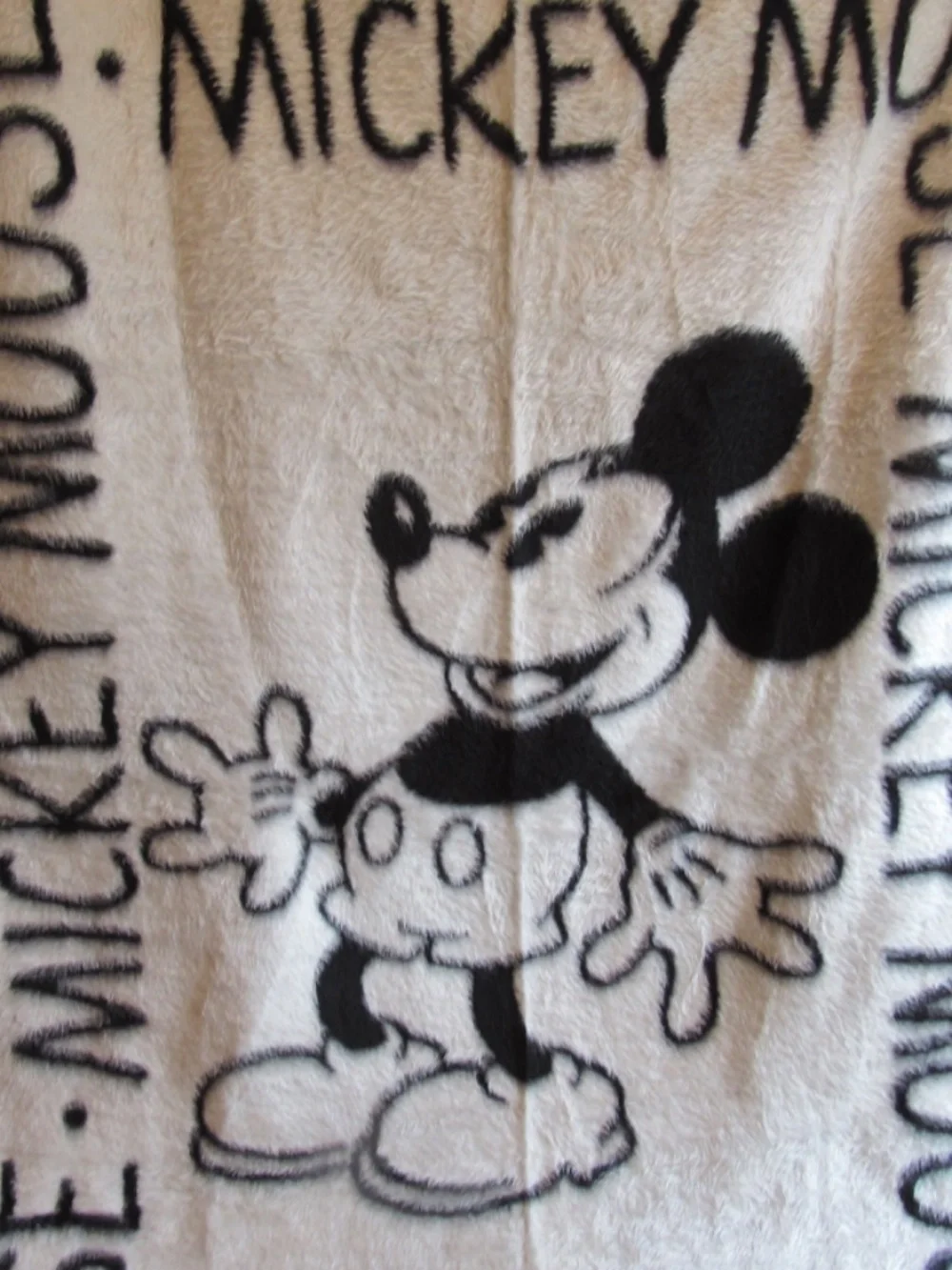 Vintage Biederlack Throw Disney/Mickey Mouse Reversible